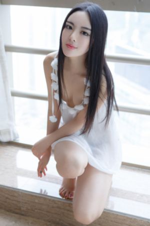 高清视频在线播放