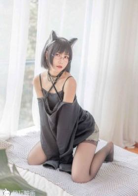 猫咪av在线