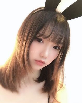 石纪元免费观看第一季