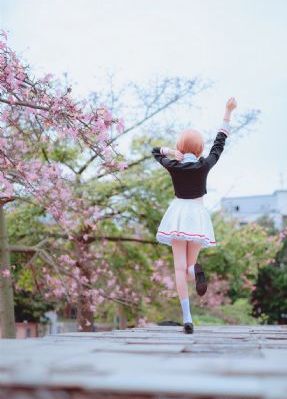 玄门大师电视剧全集免费观看