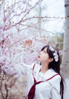 疯狂动物城 普通话版